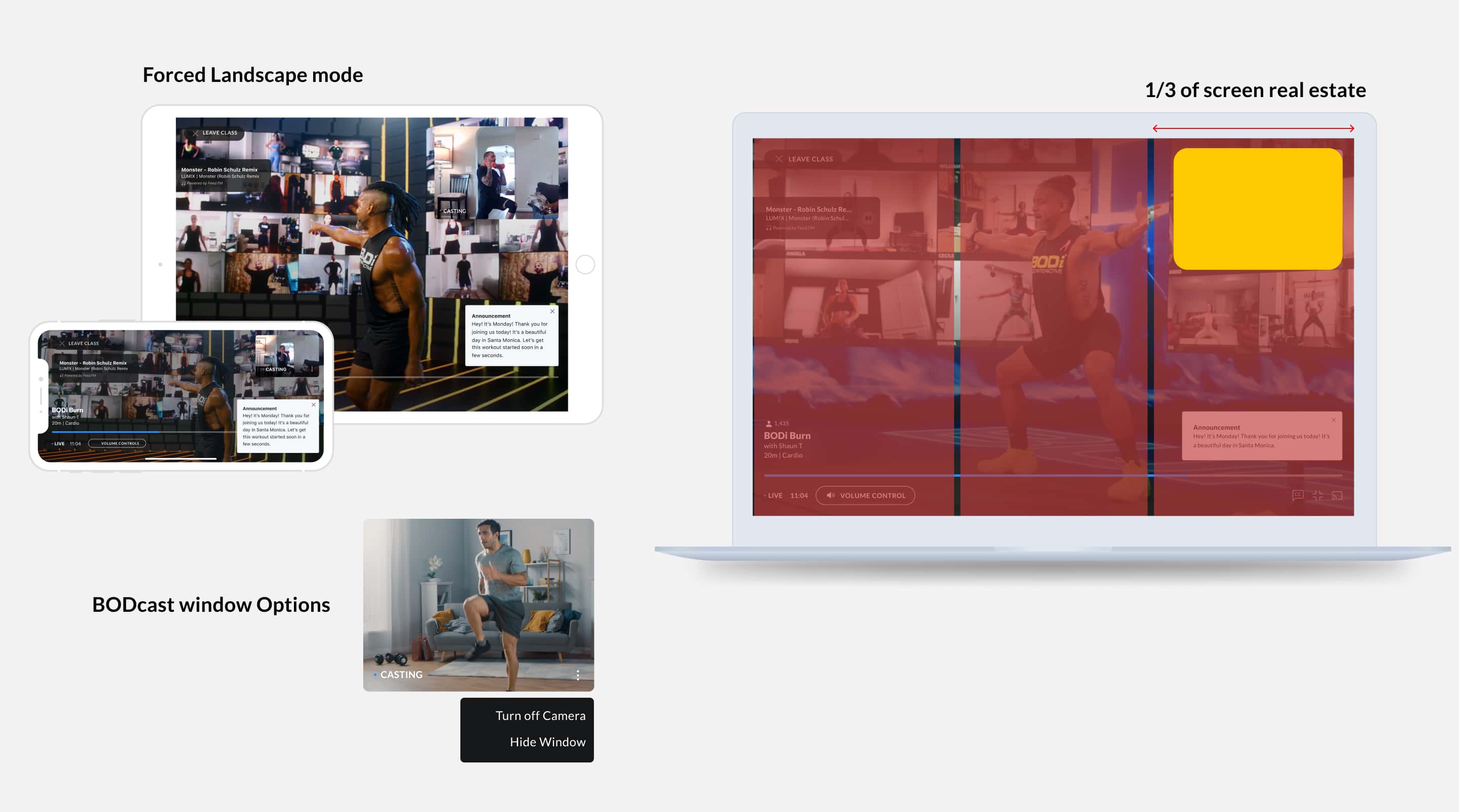 Forced landscape mode, 1/3 screen real estate, and BODcast window options